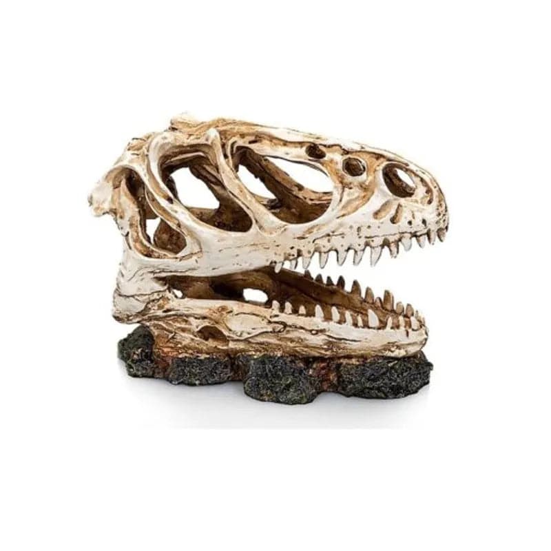 Dino Skull 5 Size 125.610