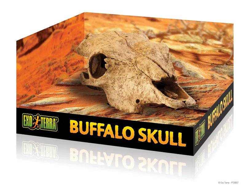 Exo Terra Buffalo Skull Exo Terra