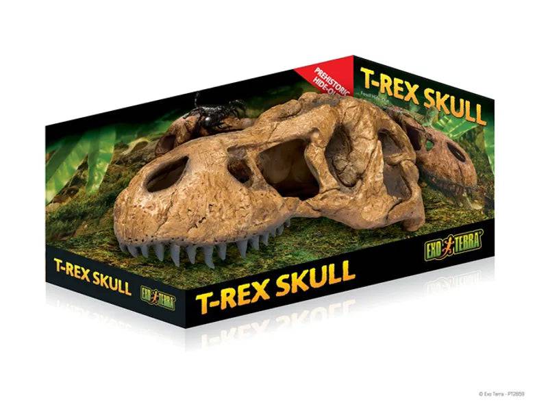 ET T.Rex Skull