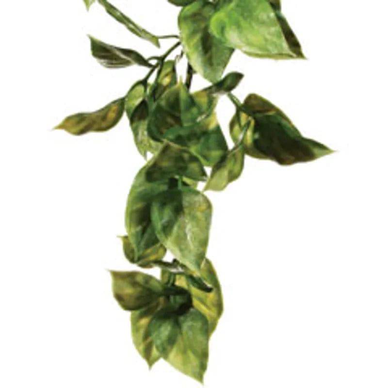 Exo Terra Amapallo Plastic Jungle Plant Medium