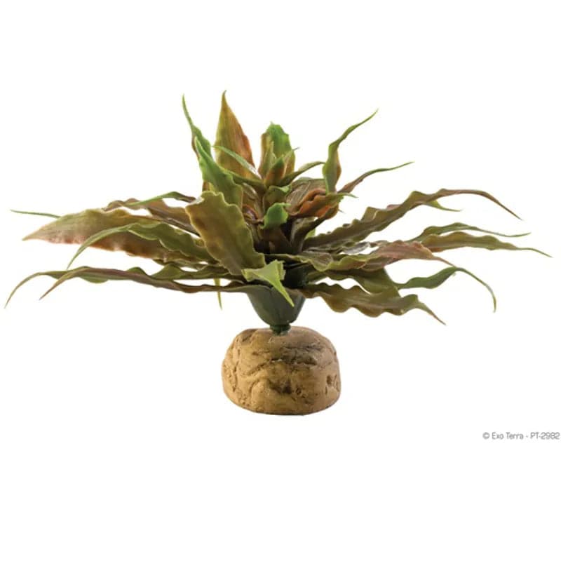 Exo Terra Artificial Desert Plant Star Cactus Exo Terra