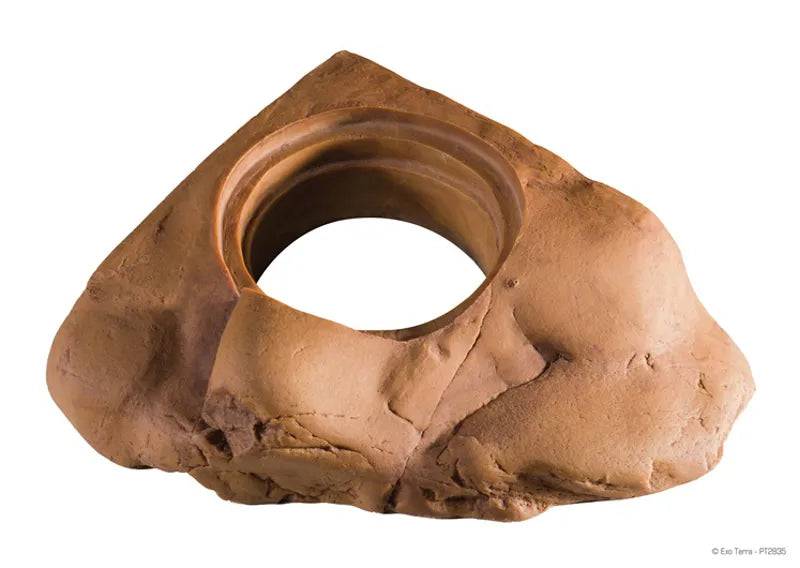 Exo Terra Feeding Dish For Cup Diet Exo Terra