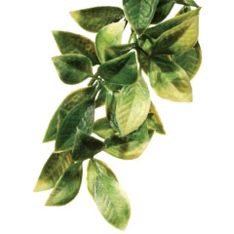 Exo Terra Mandarin Plastic Jungle Plant Medium