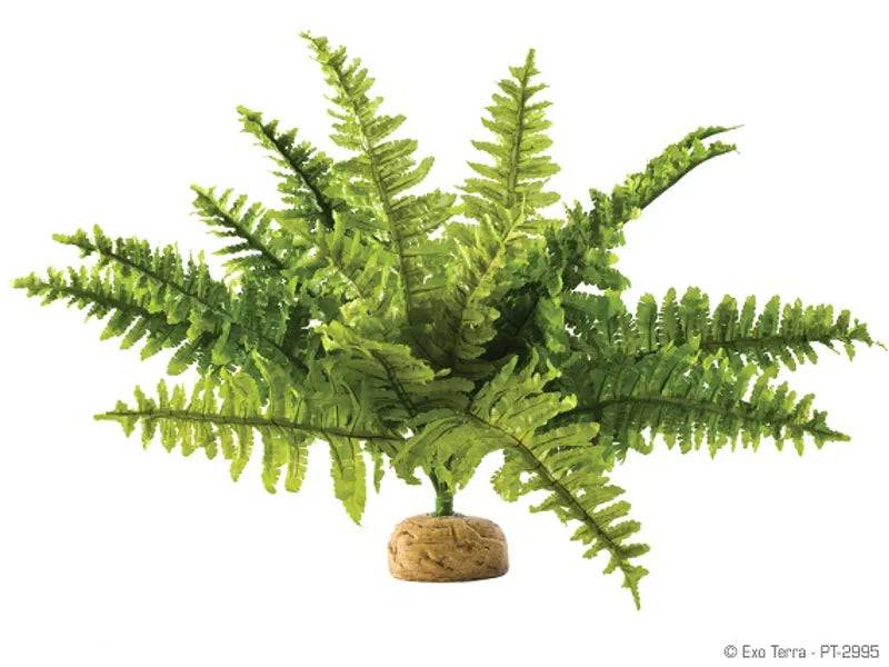 Exo Terra Medium Boston Fern – Artificial Terrarium Plant Exo Terra