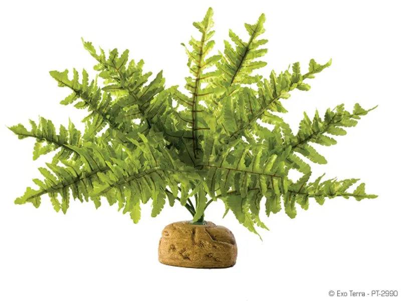 Exo Terra Small Boston Fern – Artificial Rainforest Terrarium Plant Exo Terra