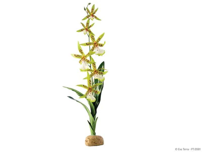 Exo Terra Rainforest Spider Orchid – Artificial Terrarium Plant Exo Terra