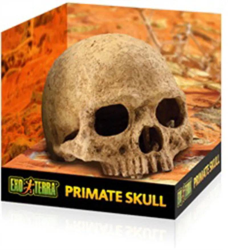Exo Terra Primate Skull Exo Terra