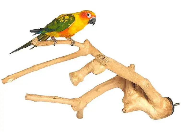 Java Multibranch Medium Parrot Bird Perch Sky Pets