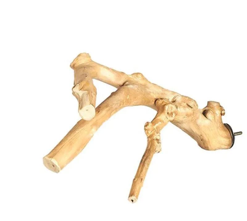 Java Multibranch Small