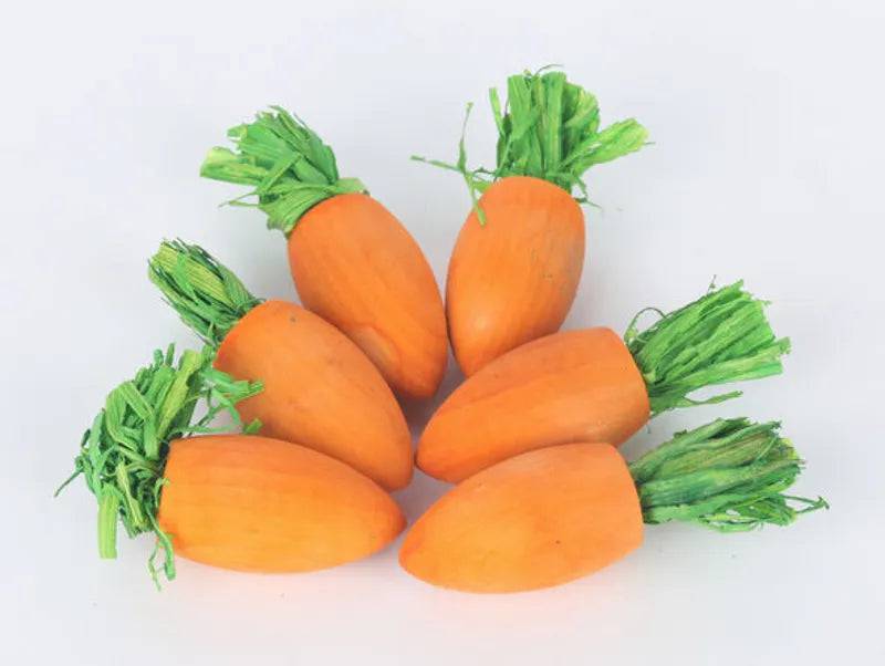 Sky Pets Wooden Carrot Treat 6pk Small Animal