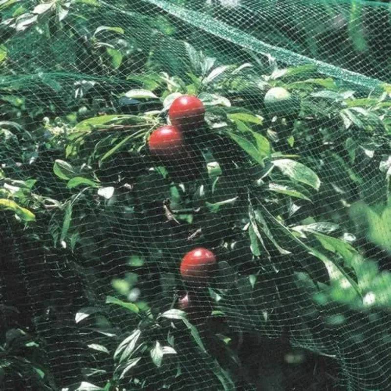 Net Plant Protection 4X2M