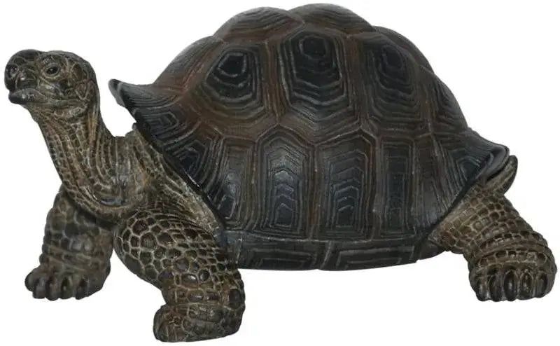 Pet Pals Baby Tortoise Ornament by Vivid Arts Vivid Arts