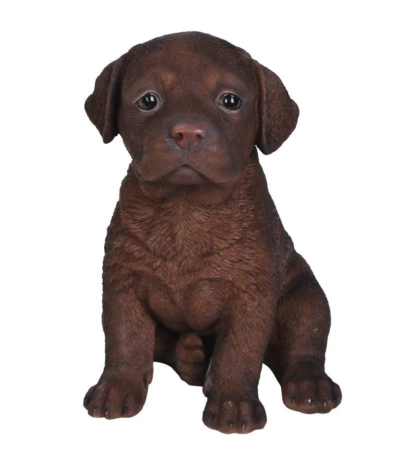 Pet Pals Chocolate Labrador Puppy Ornament by Vivid Arts