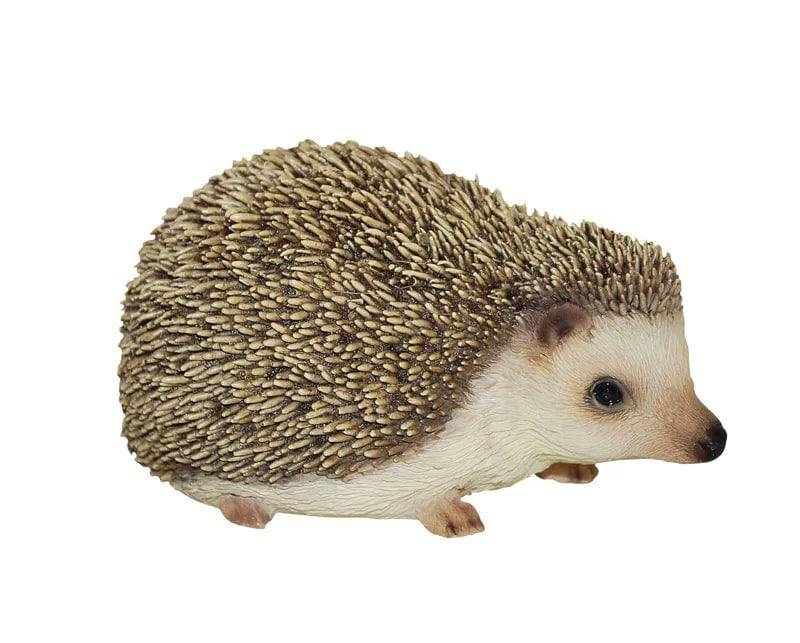 Pygmy Hedgehog Pet Pals Real Life Ornament by Vivid Arts