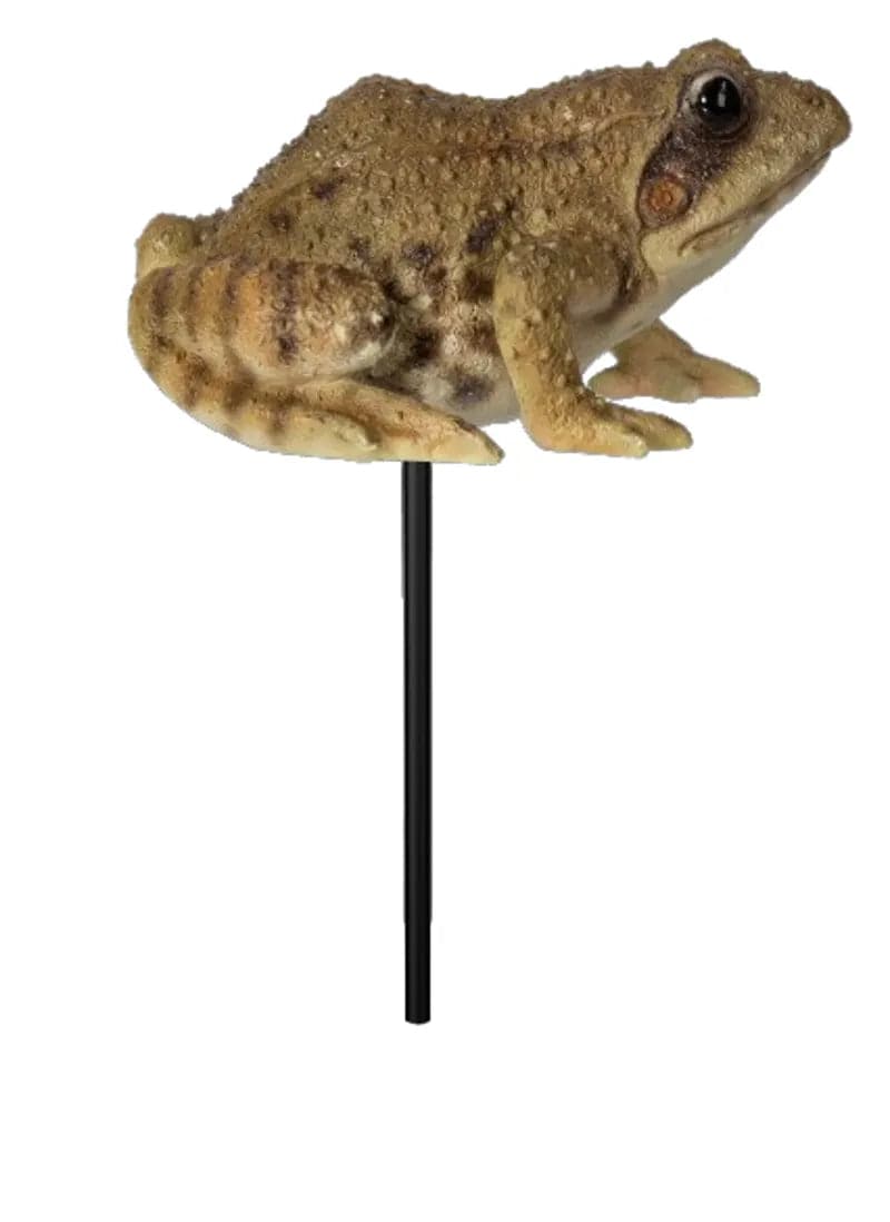 Frog Plant Pal by Vivid Arts