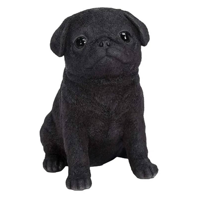 PP Black Pug Puppy F