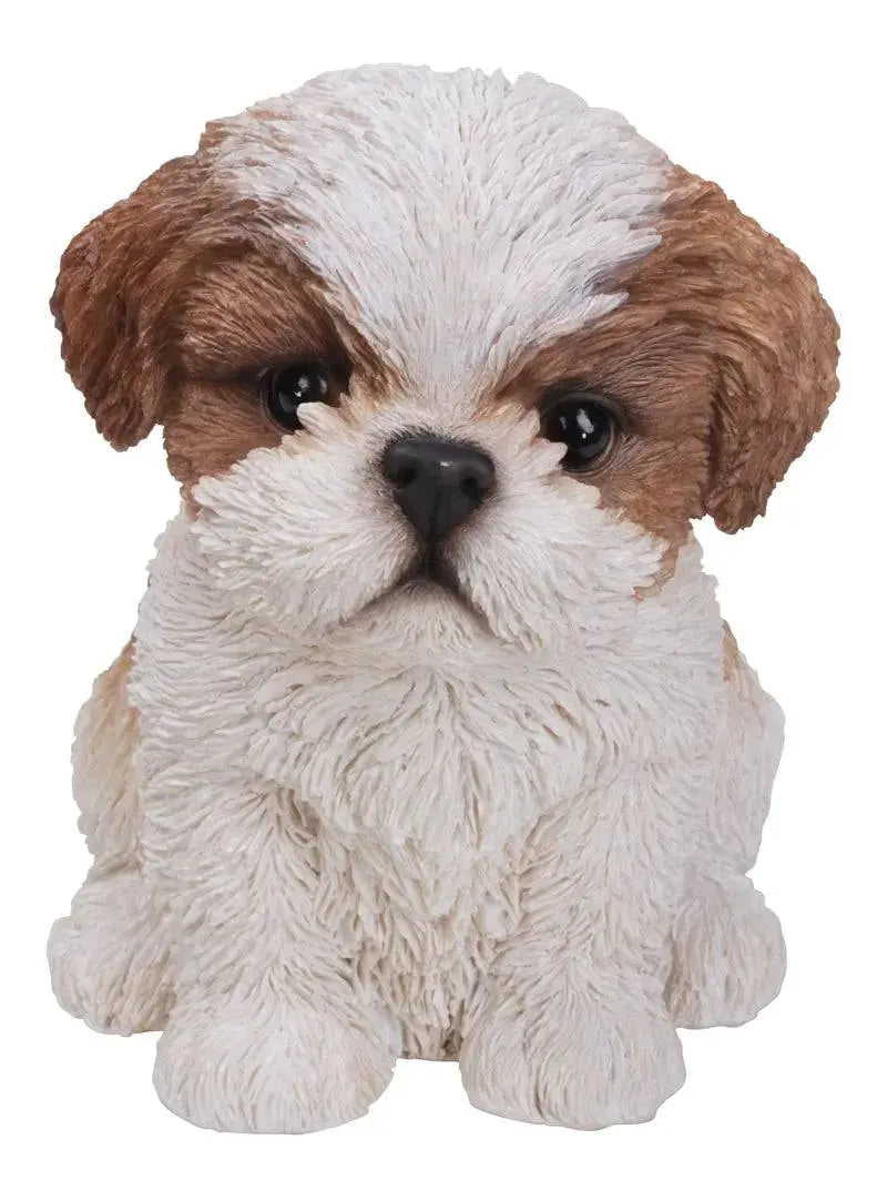 Pet Pal Shih Tzu Puppy Brown & White by Vivid Arts Vivid Arts