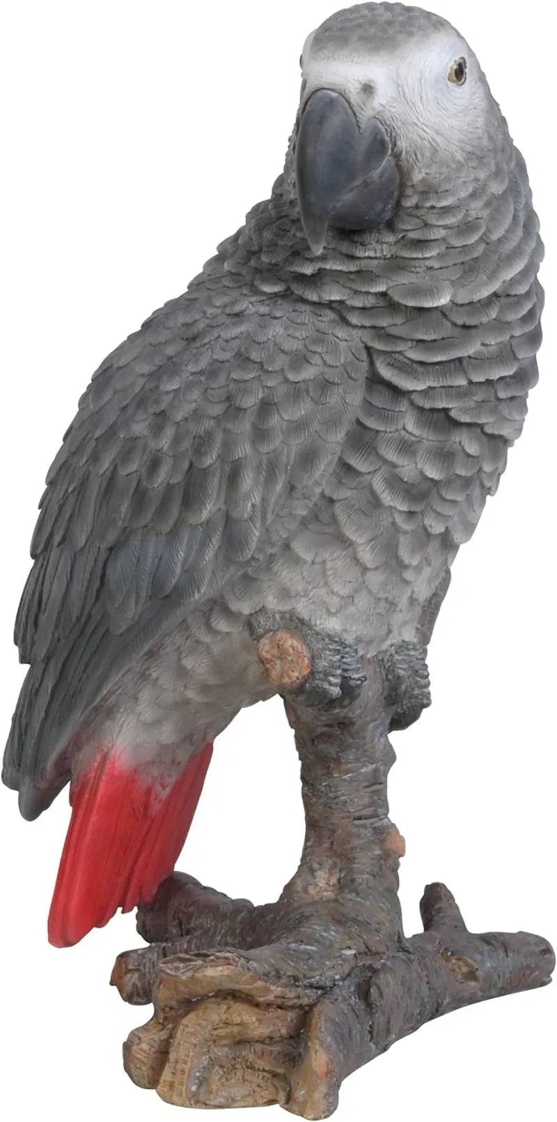 Real Life African Grey Parrot Ornament Size D by Vivid Arts