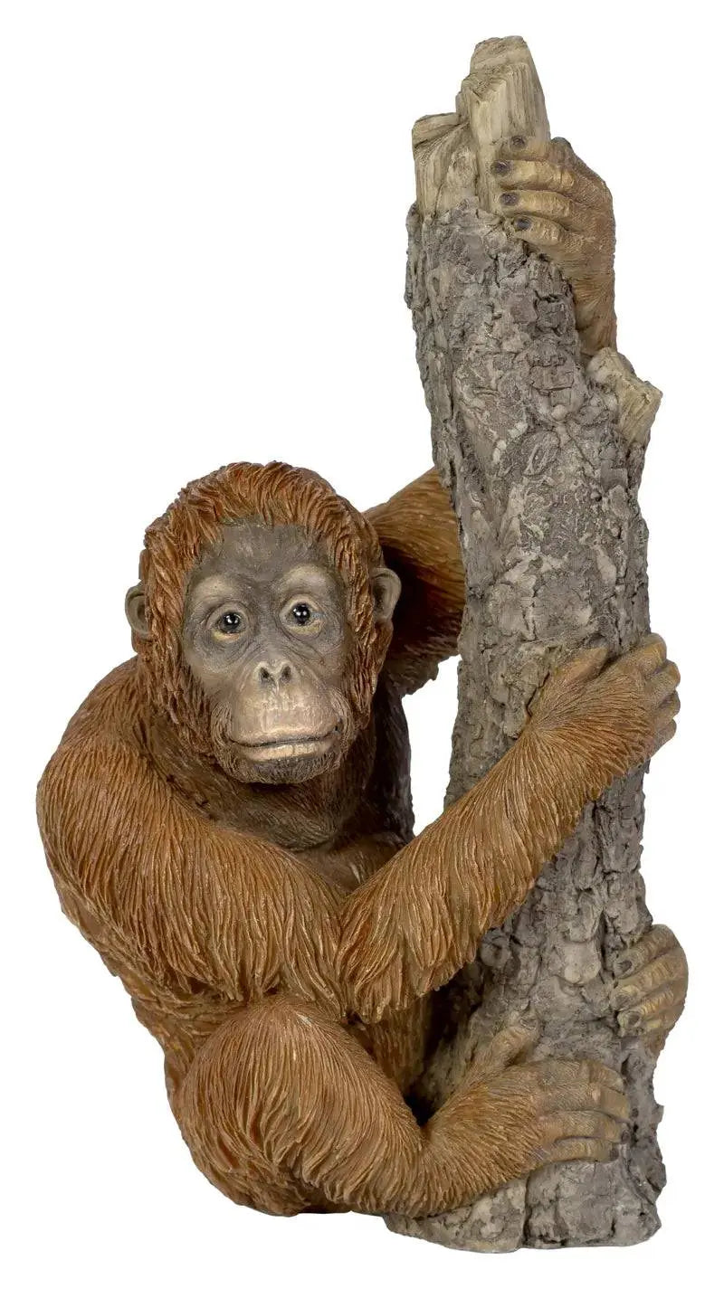 Climbing Baby Orangutan Real Life Resin Ornament by Vivid Arts Vivid Arts