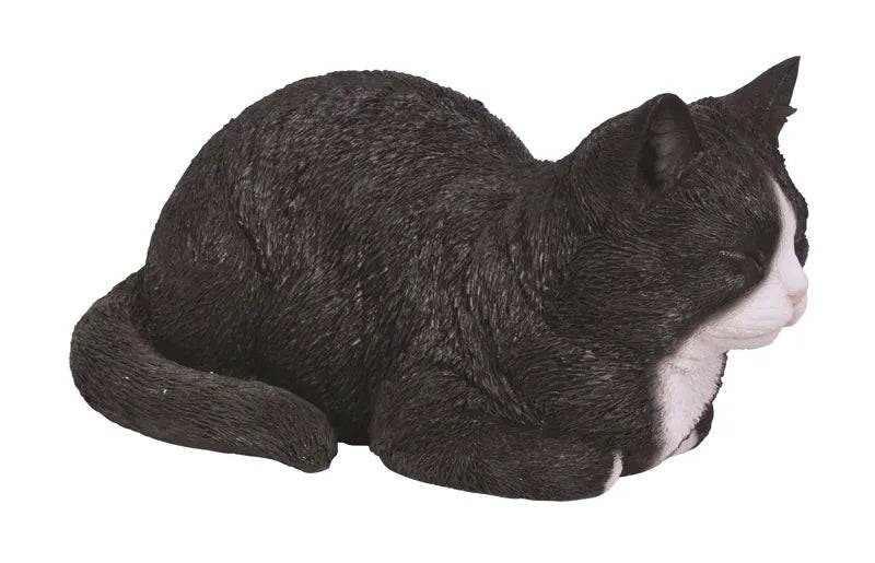 Dreaming Black / White Cat Real Life Resin Ornament by Vivid Arts Vivid Arts