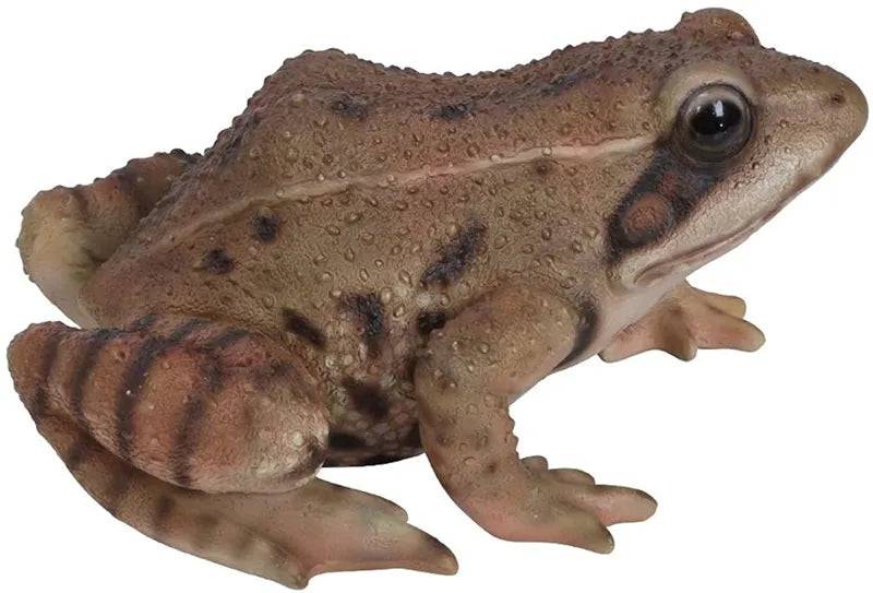 Real Life Frog Resin Ornament by Vivid Arts