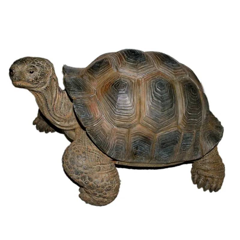 Giant Tortoise Real Life Resin Ornament by Vivid Arts