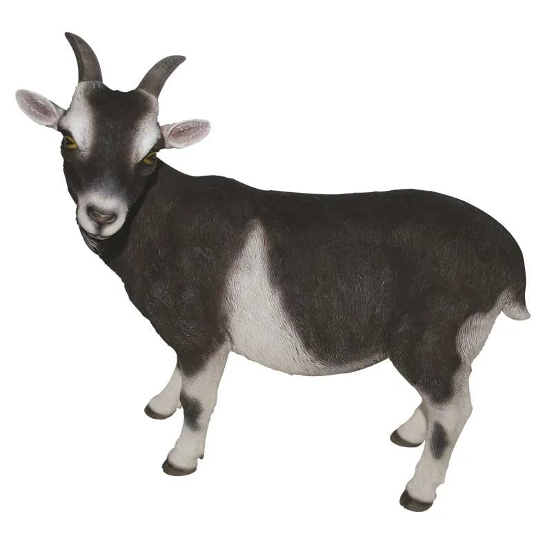 Real Life Goat Size D Ornament by Vivid Arts