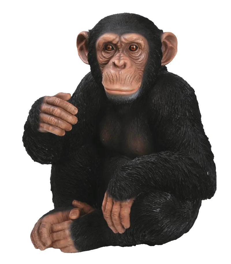 Sitting Chimpanzee Real Life  Resin Ornament  Vivid Arts