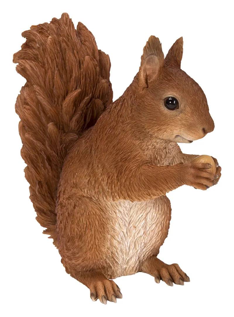 Real Life Sitting Red Squirrel Ornament Size B by Vivid Arts