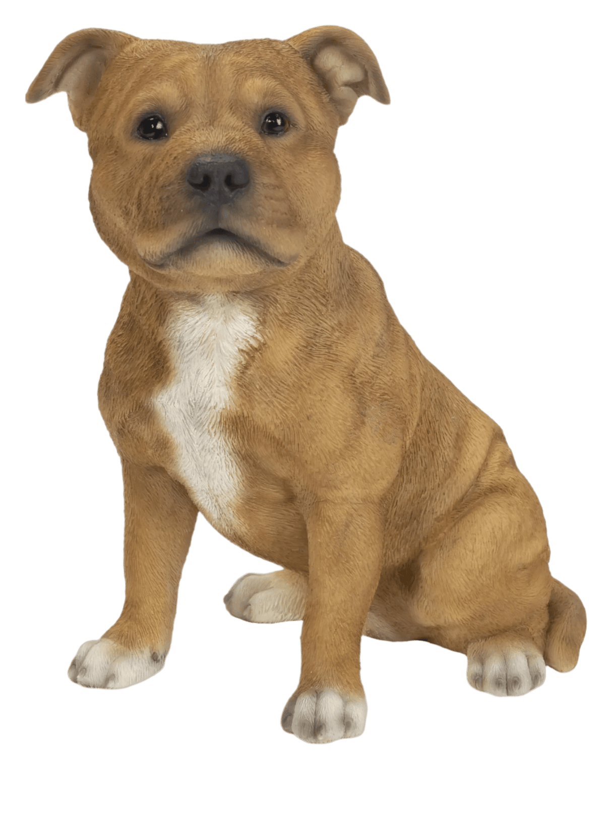 Real Life Staffordshire Terrier Brown Ornament Size D By Vivid Arts