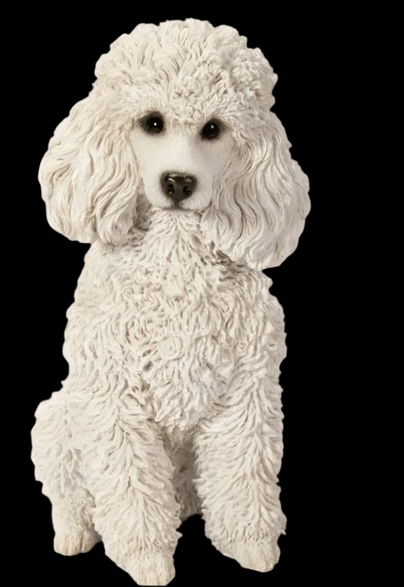 Real Life White Sitting Poodle Size D by Vivid Arts