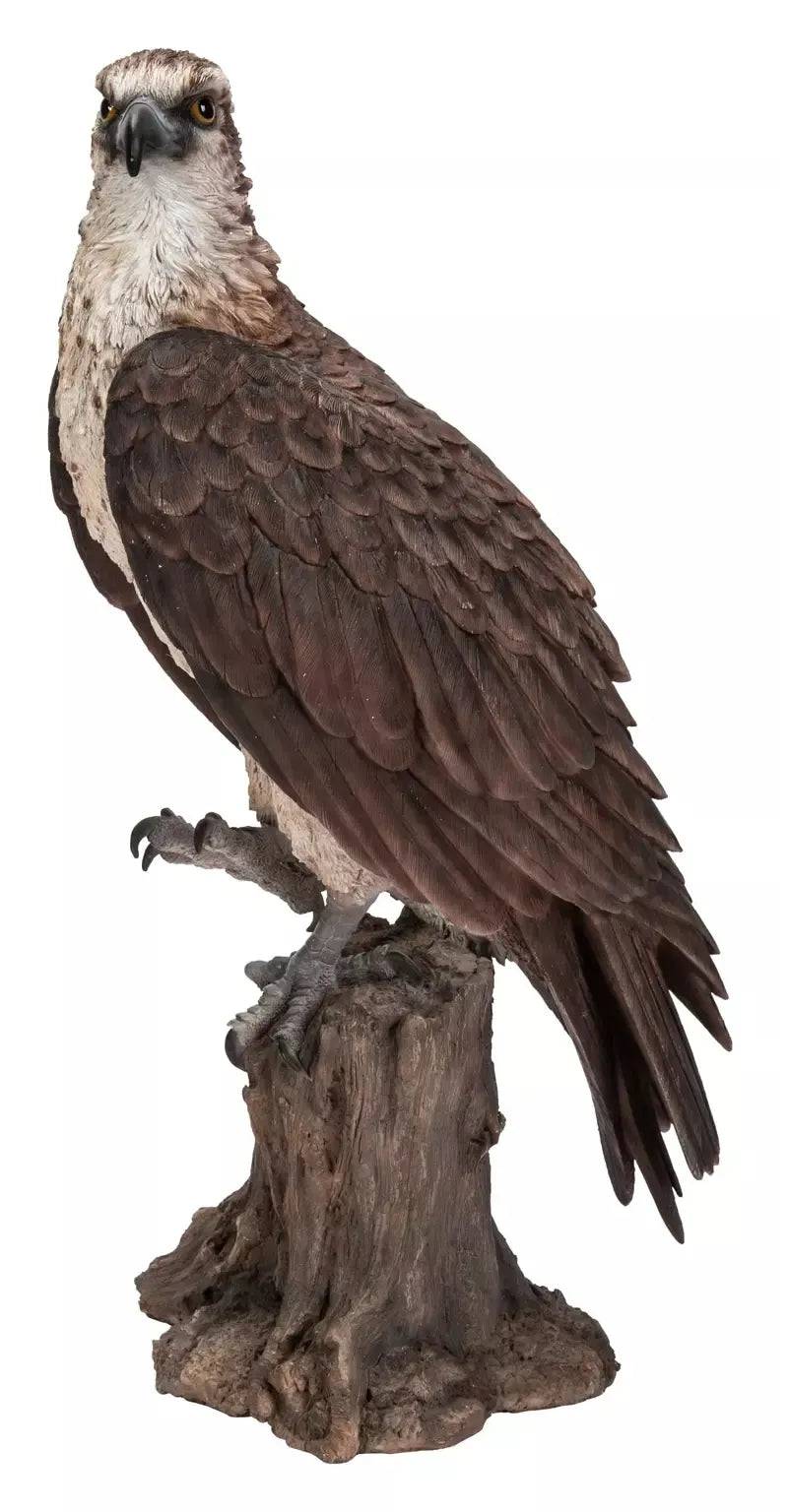 WBC Osprey Garden Ornament Size A by Vivid Arts
