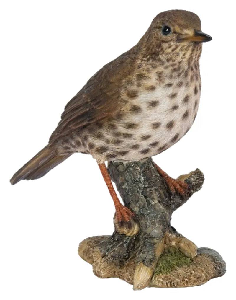 WBC Song Thrush Size D Resin Ornament by Vivid Arts