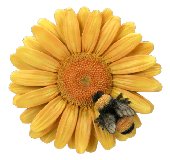 Hanging Yellow Daisy With Bee By Vivid Arts Vivid Arts