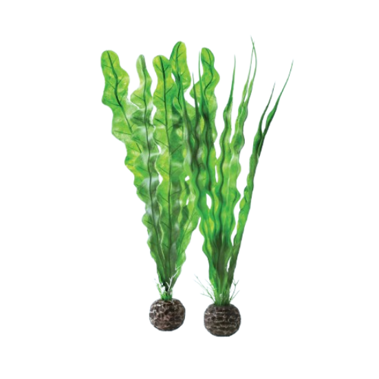 BiOrb Easy Plant Accessory Pack x2 Medium – Aquarium Decoration Oase (Uk) Ltd