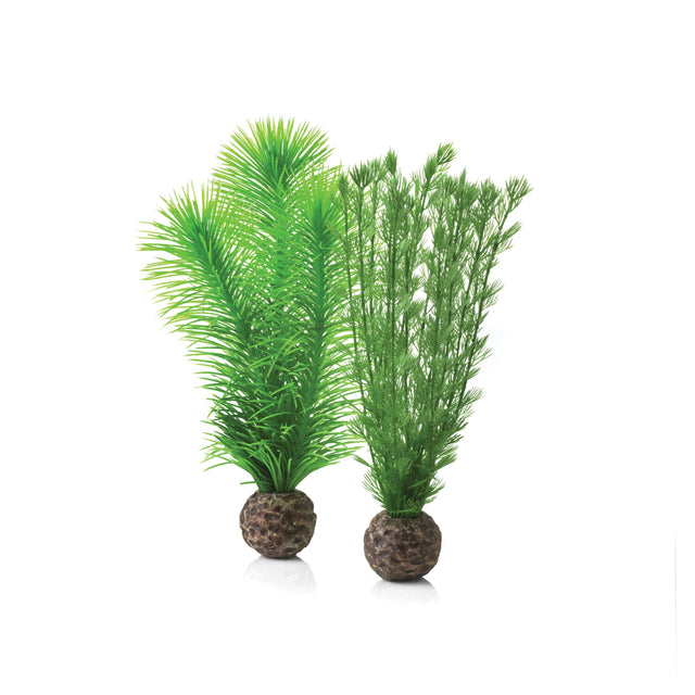 biOrb Small Green Feather Fern Set Aquarium Decoration Oase (Uk) Ltd