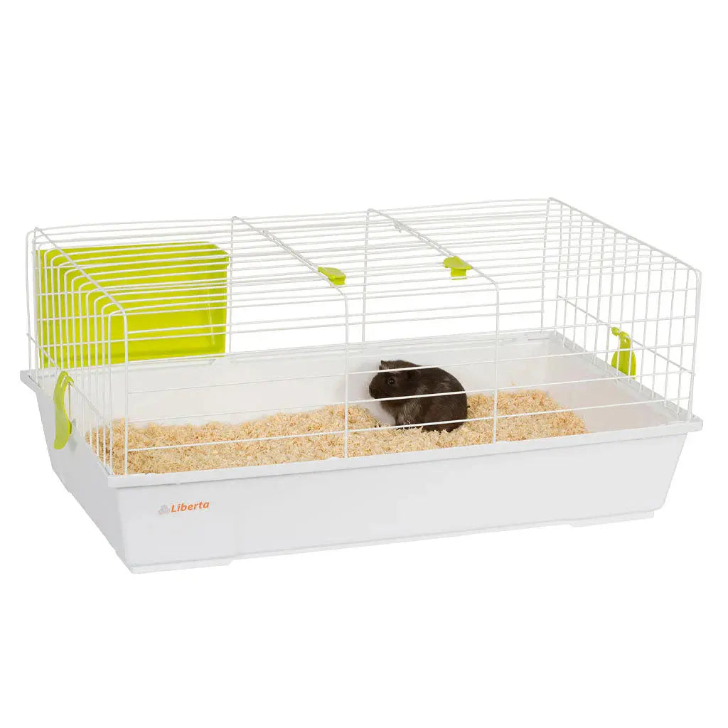 Little Zoo Liberta Capella I Cage Sky Pets