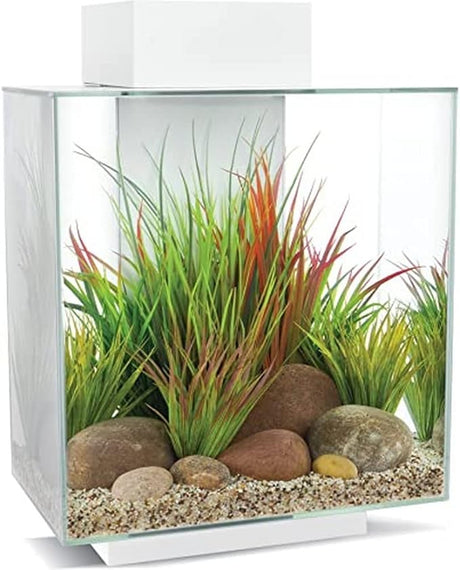 Fluval Edge White Aquarium Kit 46L