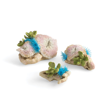 biOrb plate corals & button polyp set Biorb