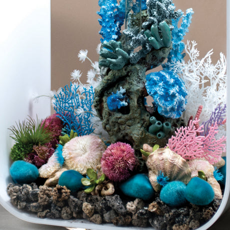 biOrb plate corals & button polyp set Biorb