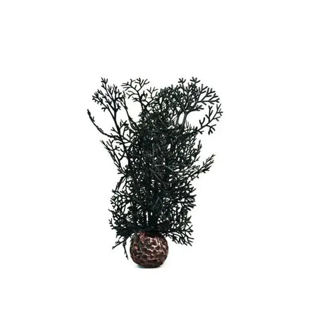 biOrb Black Sea Fan Aquarium Decoration Small Biorb