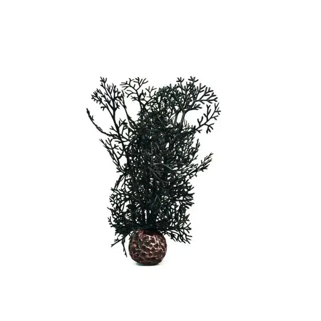biOrb Black Sea Fan Aquarium Decoration Small Biorb
