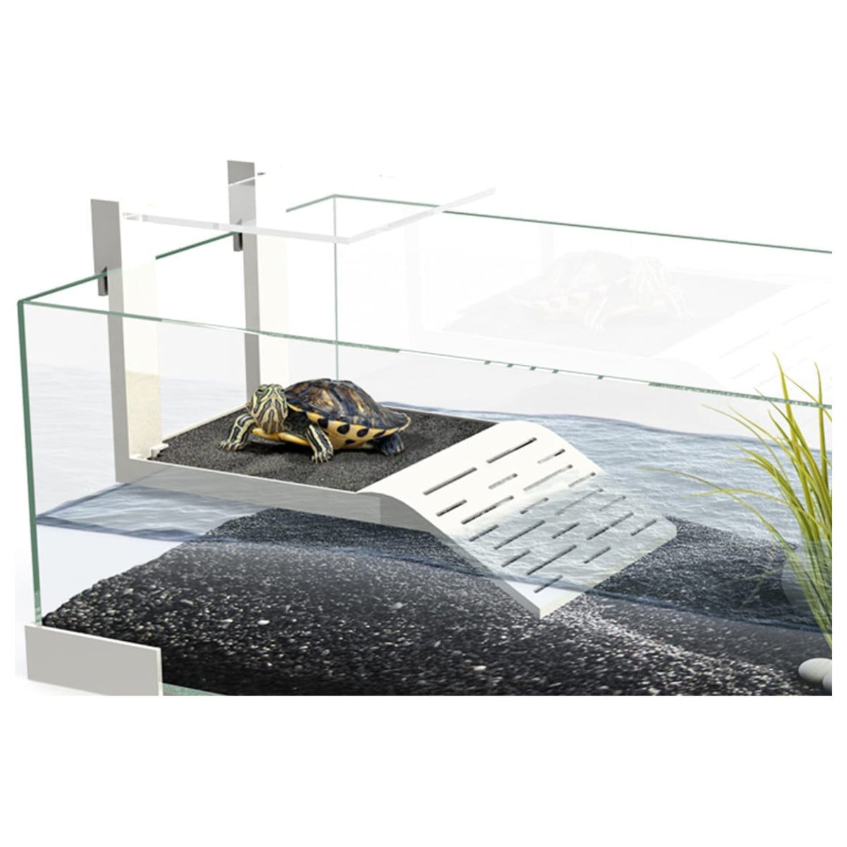 Ciano Tartarium 60 White J & K Aquatics Ltd