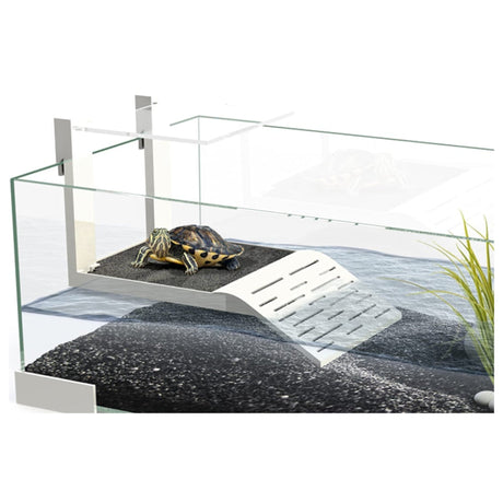 Ciano Tartarium 60 White J & K Aquatics Ltd