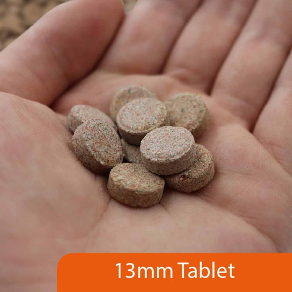 NT Labs Pro-F Fish Treat Tablets 40g Jbl Gmbh & Co
