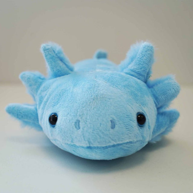 Axolotl Blue Plushie 30cm J & K Aquatics Ltd
