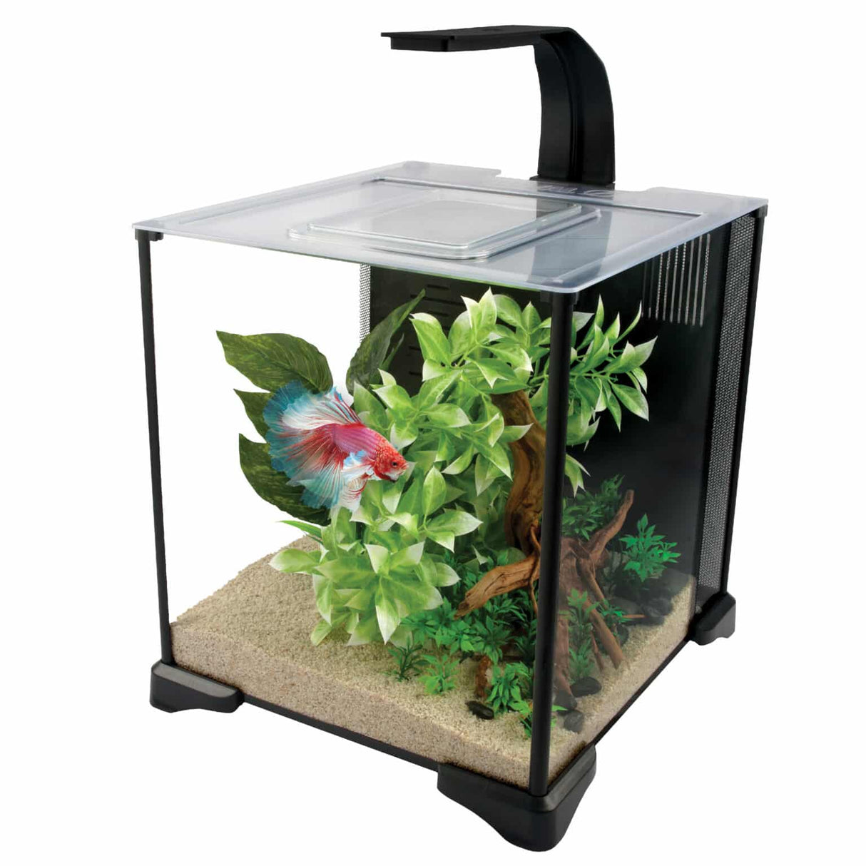 Fluval Betta Premium Aquarium Kit