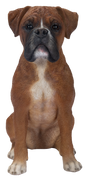 Vivid Arts Boxer Dog Ornament – Real Life Resin Garden Statue Indoor & Outdoor Vivid Arts