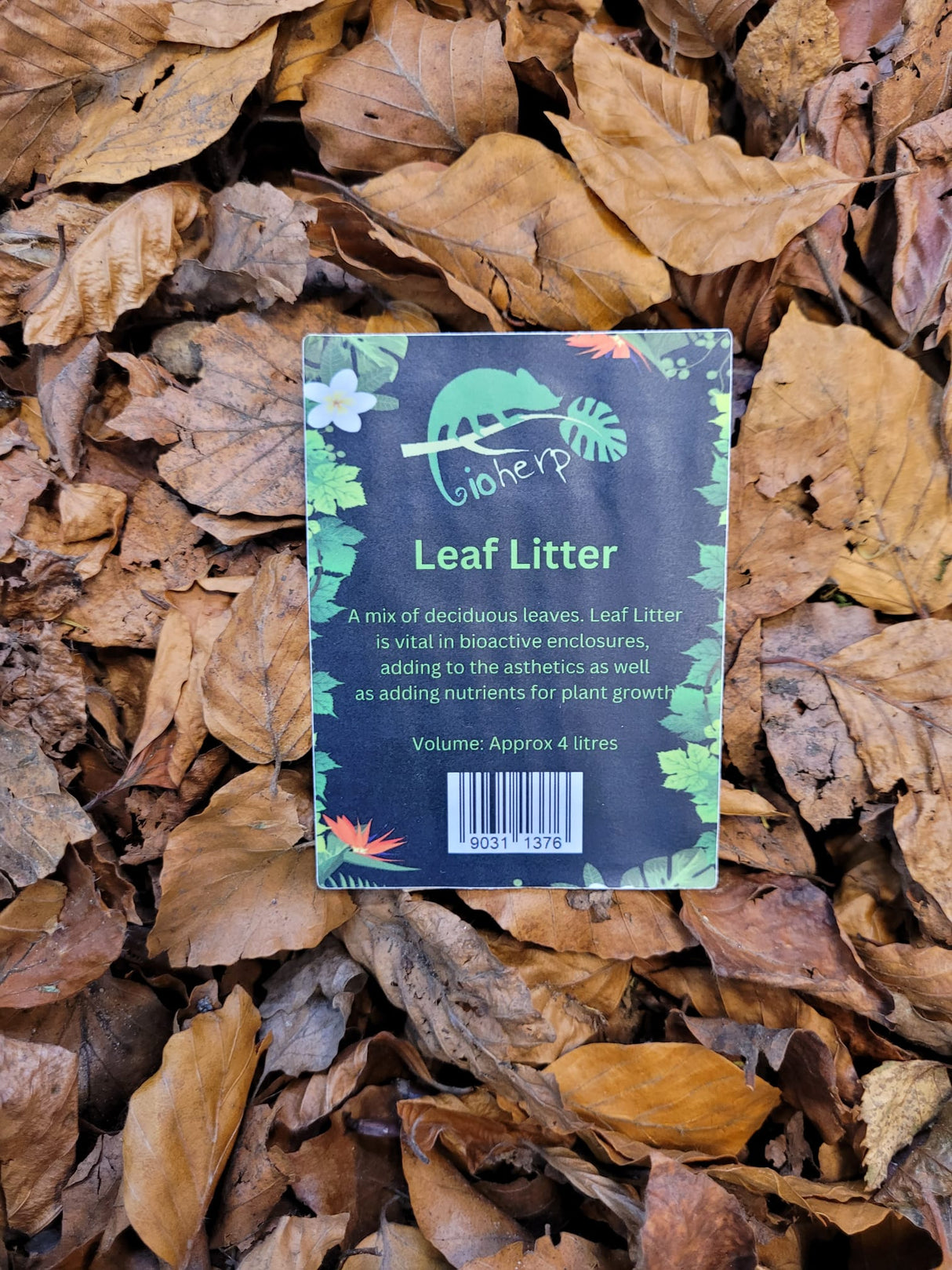 Buzzard Reptile Mixed Leaf Litter 4L