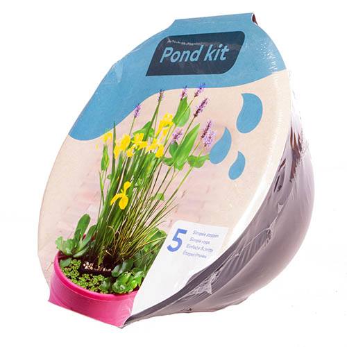 Patio Pond Plant Kit